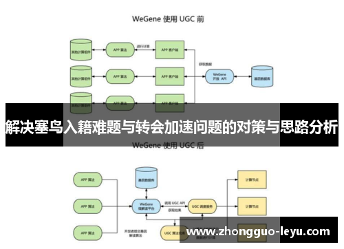 解决塞鸟入籍难题与转会加速问题的对策与思路分析 解决塞鸟入籍难题与转会加速问题的对策与思路分析