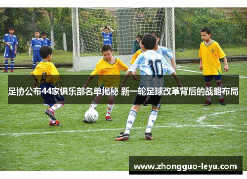 足协公布44家俱乐部名单揭秘 新一轮足球改革背后的战略布局 足协公布44家俱乐部名单揭秘 新一轮足球改革背后的战略布局